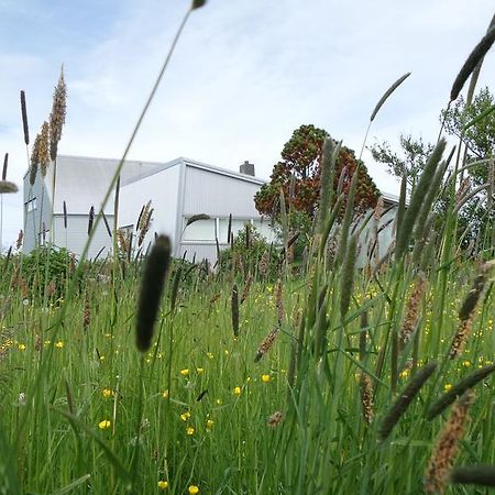 Eyvindarholt Guesthouse Alftanes Bagian luar foto
